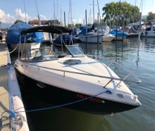 Bodensee Sportboot, Wasserski, Wakeboard, Junggesellenabschiede, Rundfahrten, Bootrundfahrt,